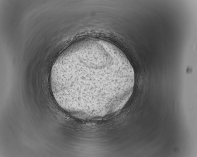 X0000111671489200908071445