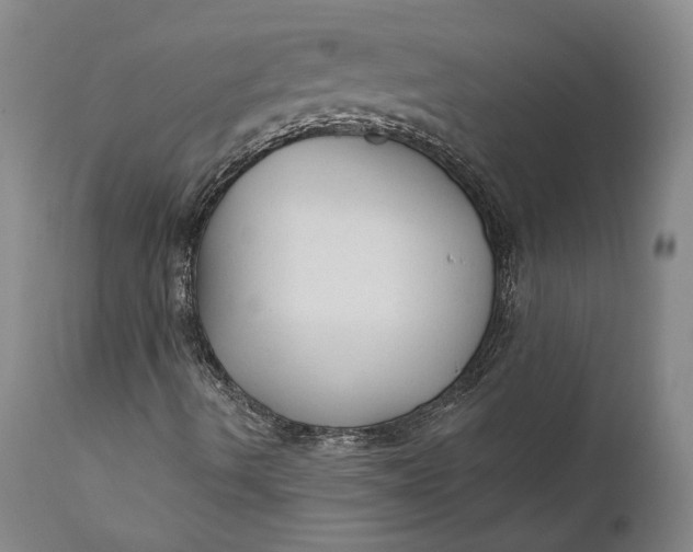 X0000111671490200908071445