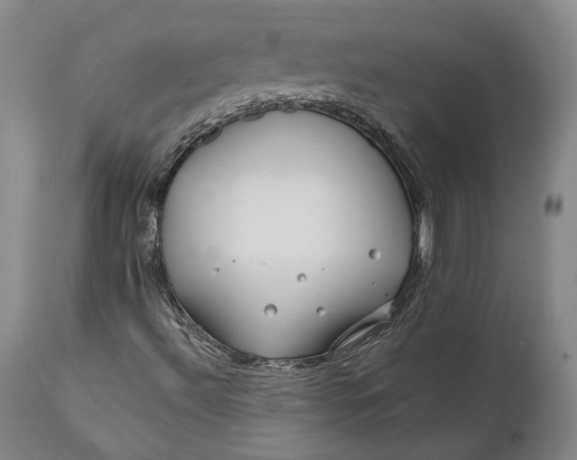 X0000111671492200908071445