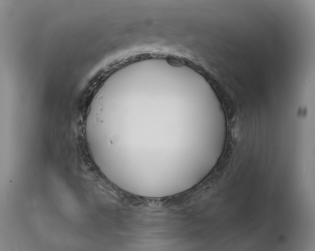 X0000111671495200908071445