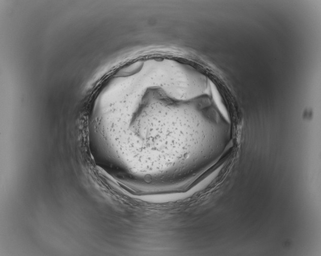 X0000111671496200908071445