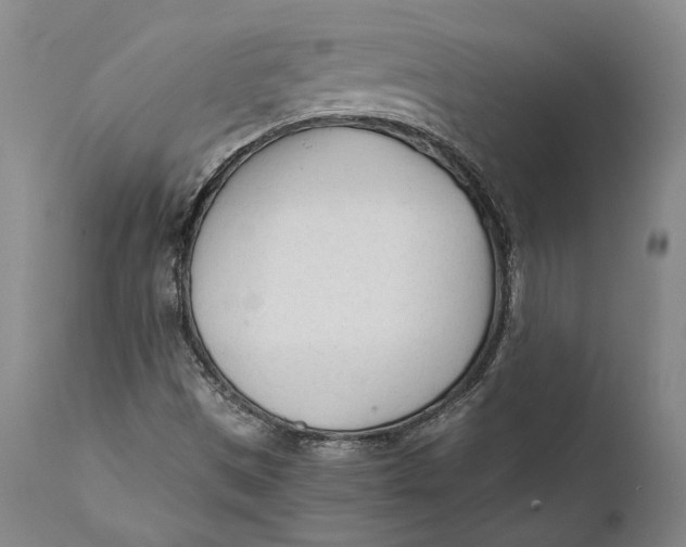 X0000111671497200908071445