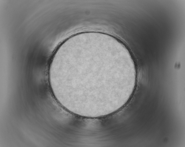 X0000111671498200908071445