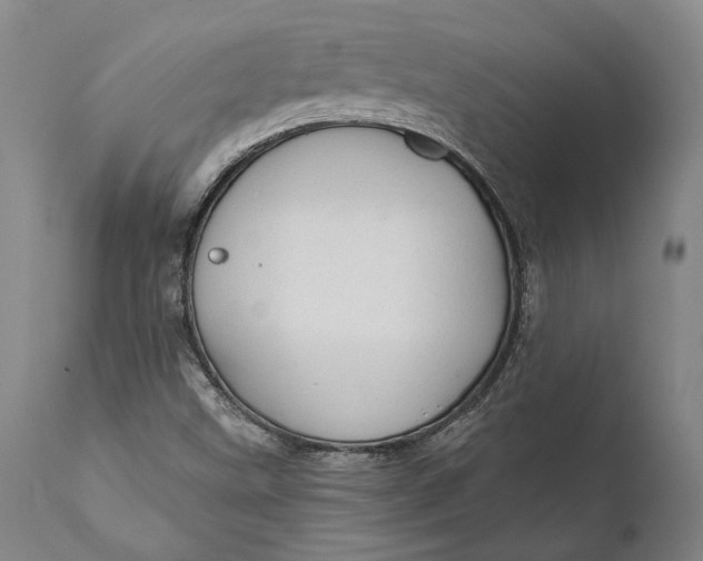 X0000111671499200908071445