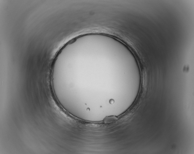 X0000111671500200908071445