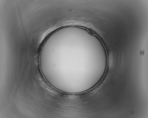 X0000111671501200908071445