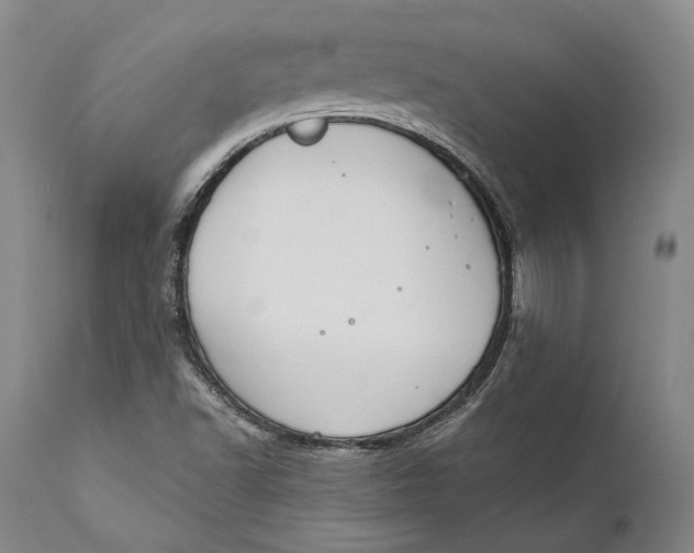 X0000111671502200908071445