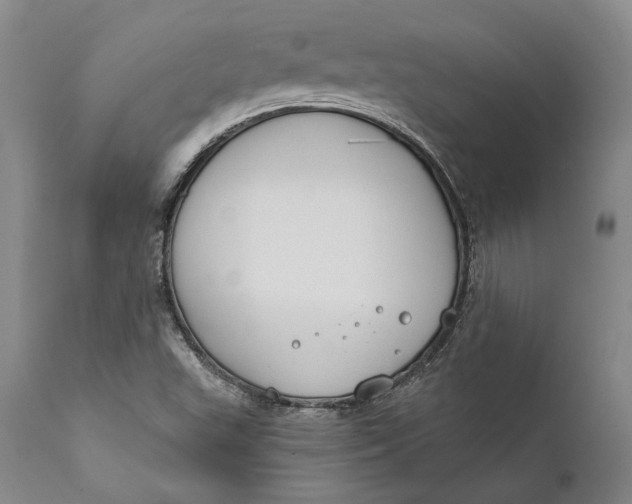 X0000111671503200908071445