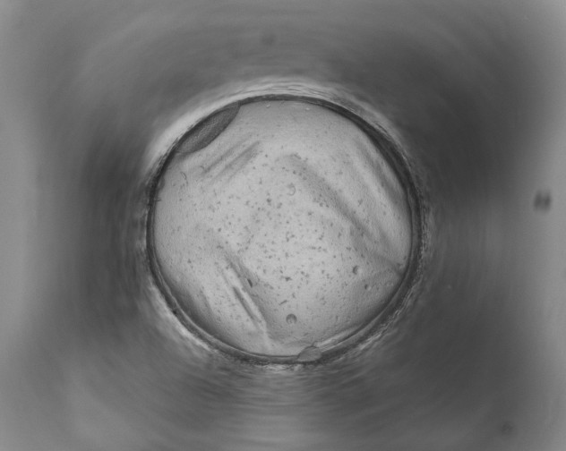 X0000111671504200908071445