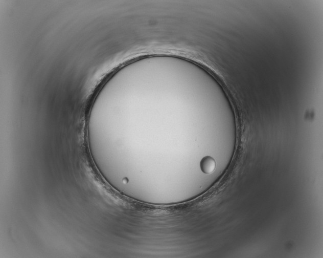 X0000111671507200908071445