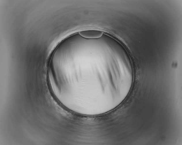 X0000111671508200908071445