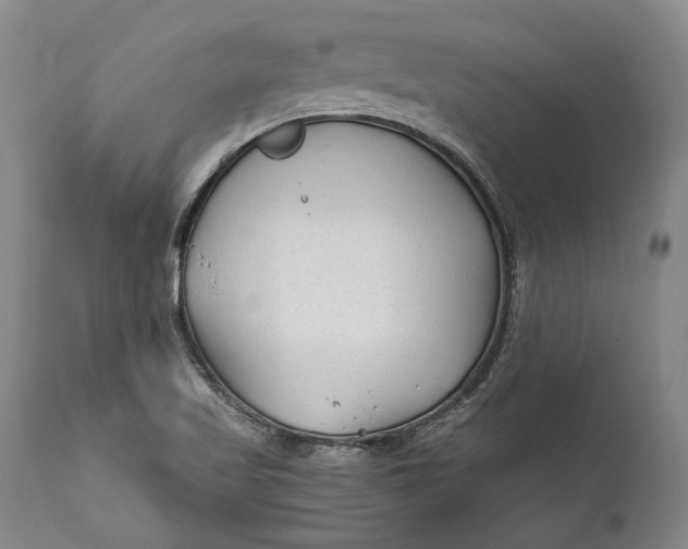 X0000111671509200908071445