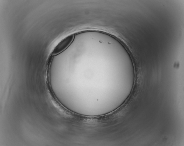 X0000111671511200908071445