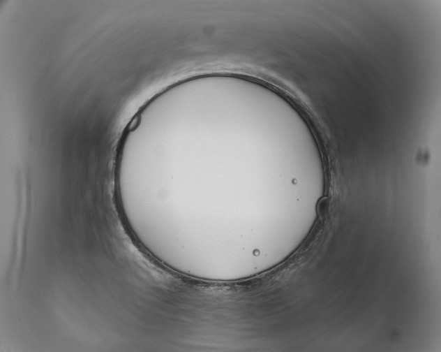 X0000111671512200908071445