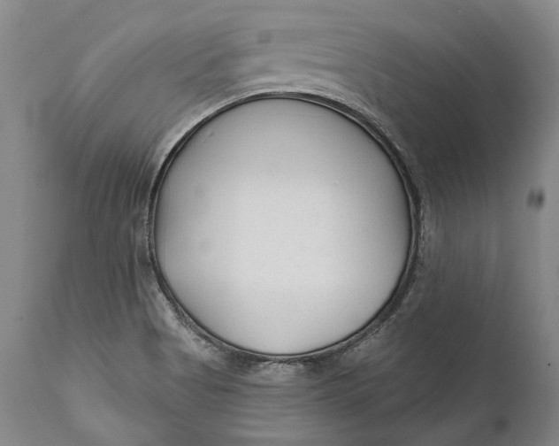 X0000111671513200908071445