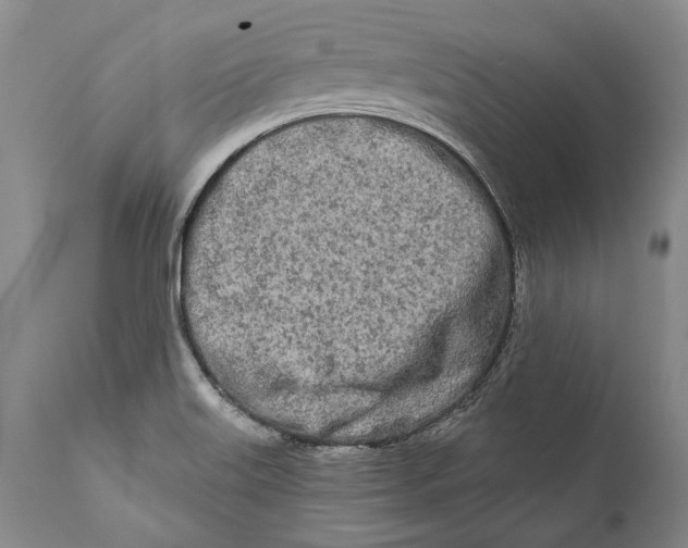 X0000111671515200908071445