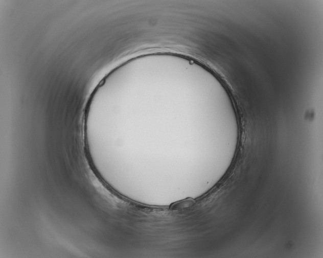 X0000111671516200908071445