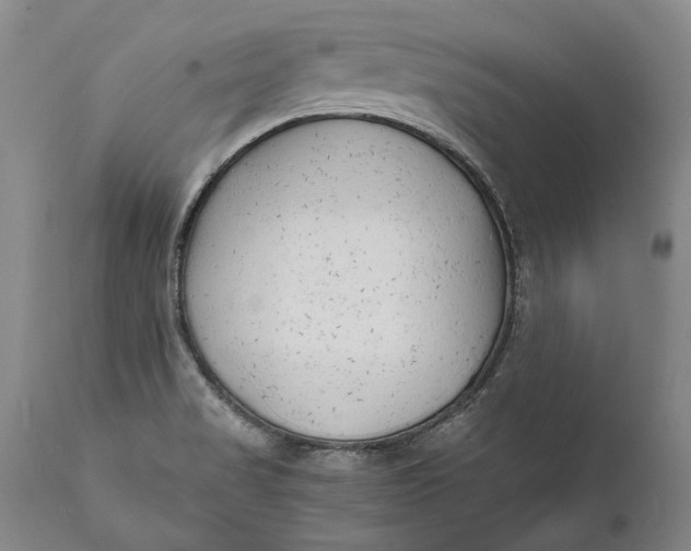 X0000111671517200908071445