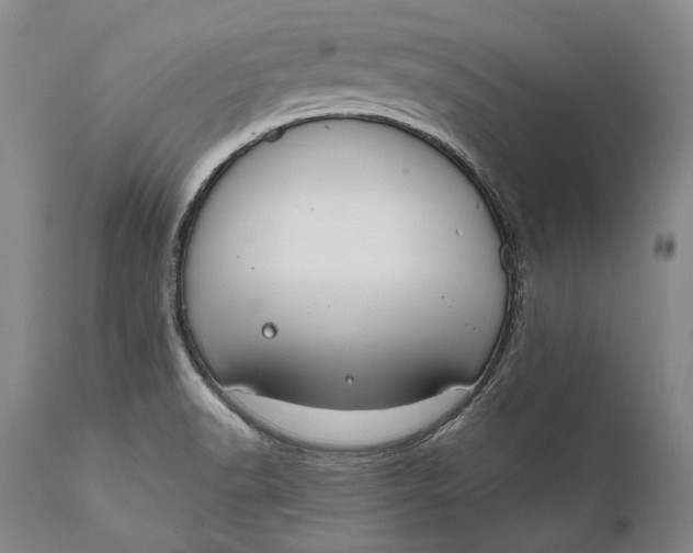 X0000111671518200908071445