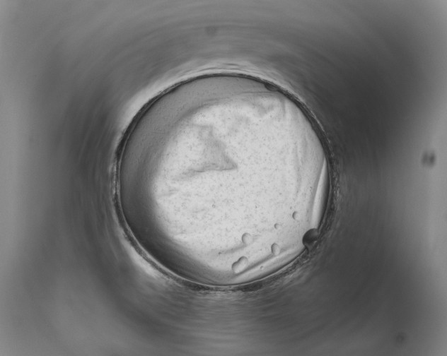 X0000111671519200908071445