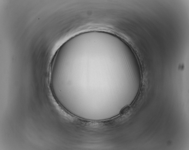 X0000111671520200908071445