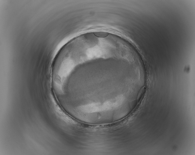 X0000111671522200908071445