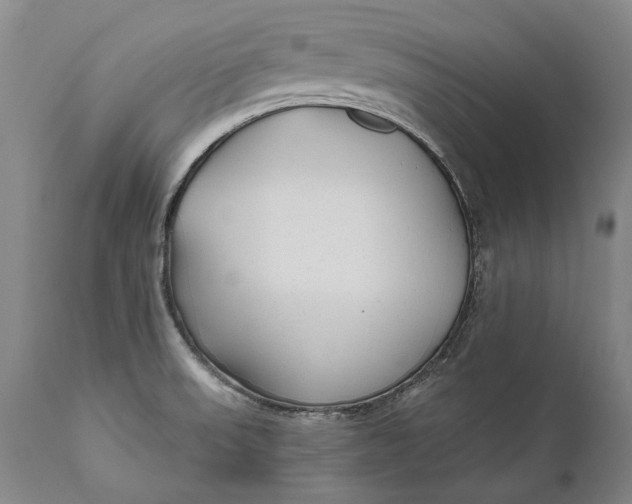 X0000111671523200908071445