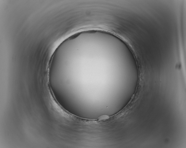 X0000111671524200908071445