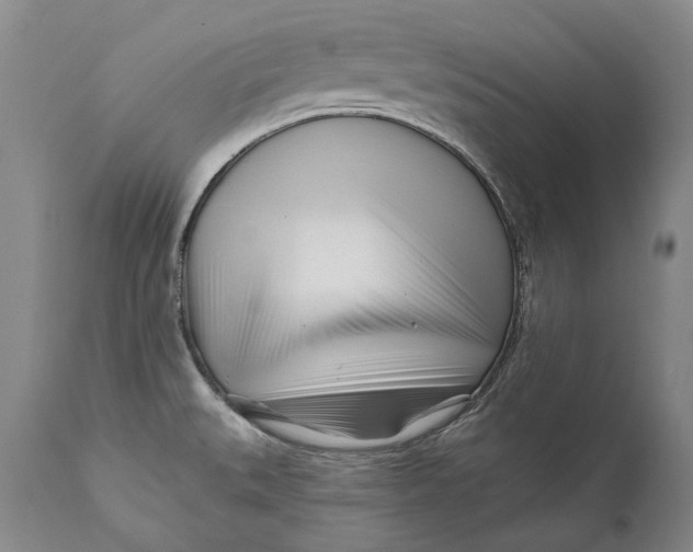 X0000111671527200908071445