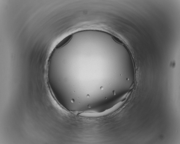 X0000111671528200908071445