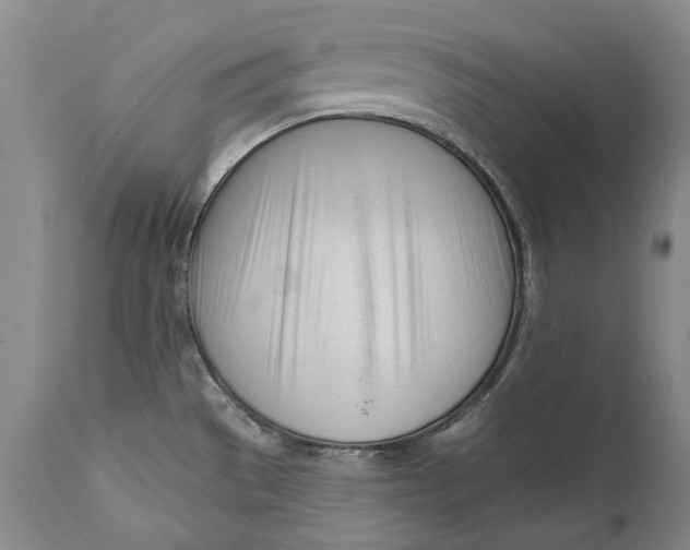 X0000111671529200908071446