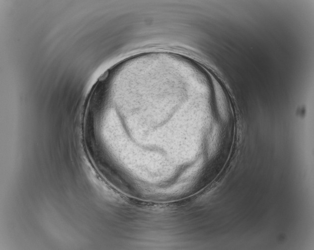 X0000111671530200908071446