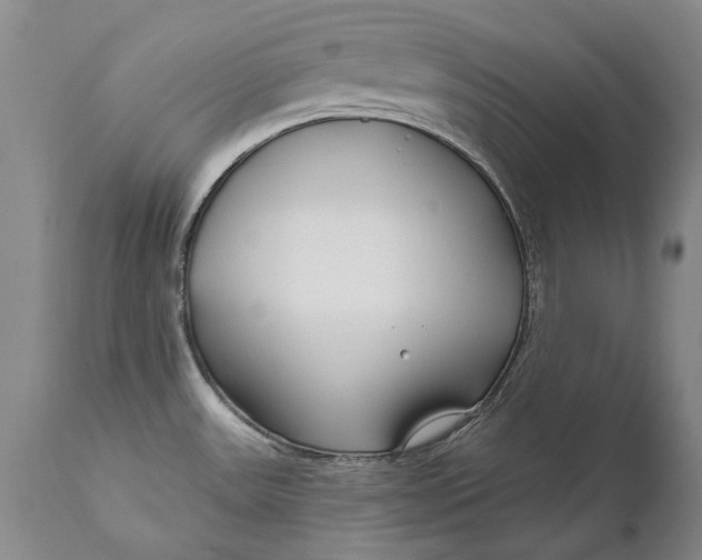 X0000111671531200908071446