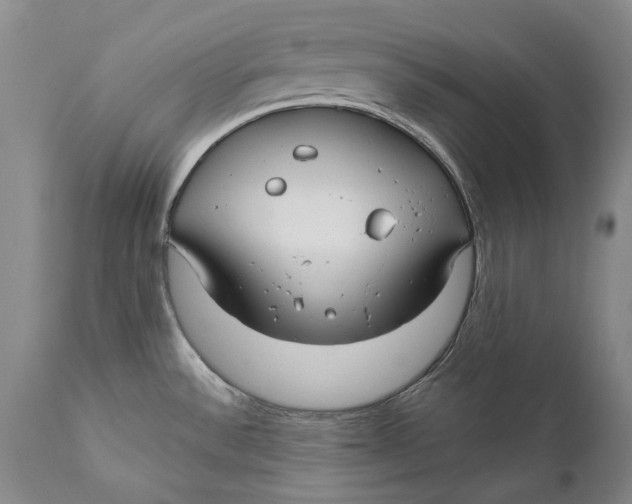 X0000111671532200908071446