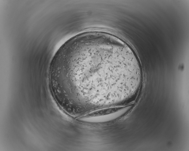 X0000111671533200908071446