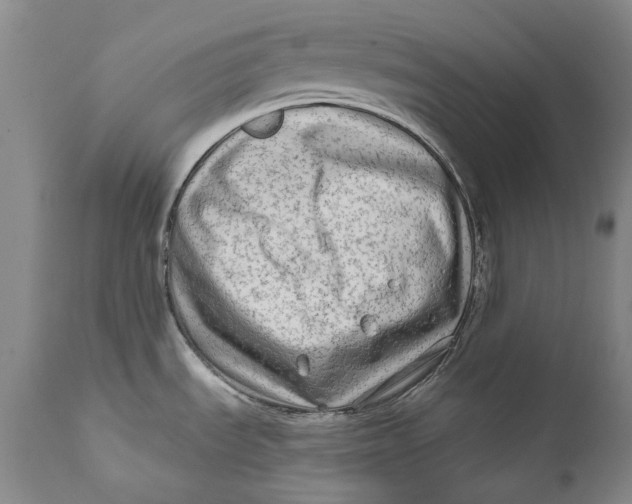 X0000111671535200908071446