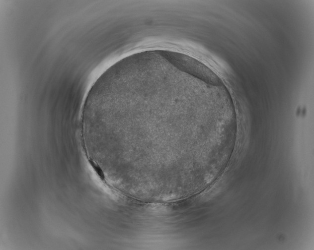 X0000111671536200908071446