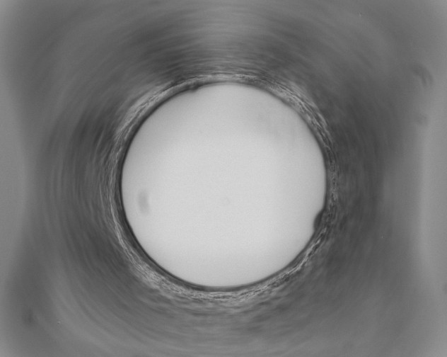 X0000111670001200908141438