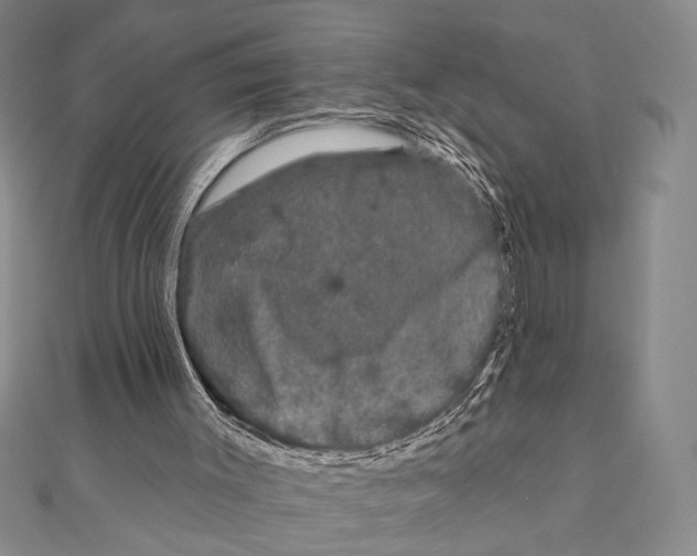 X0000111670003200908141438