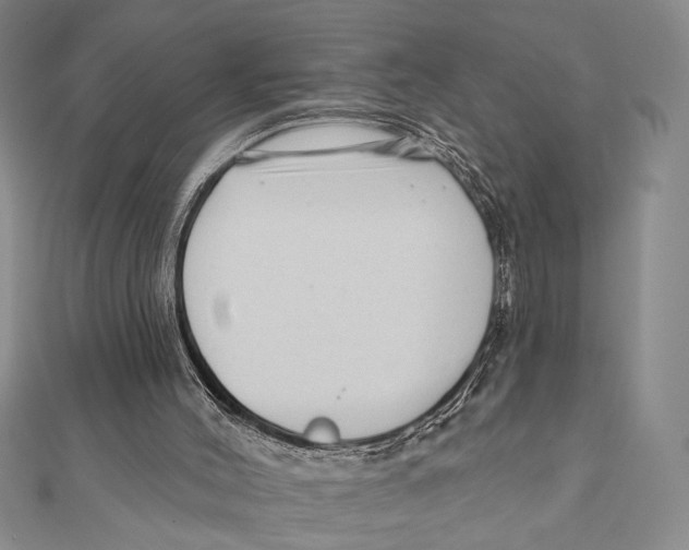 X0000111670004200908141438