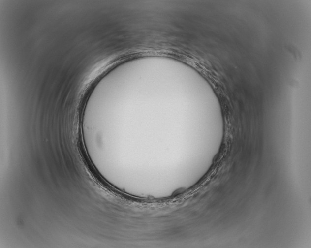 X0000111670005200908141438