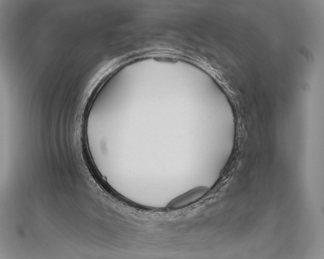 X0000111670007200908141438