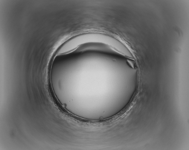 X0000111670008200908141438