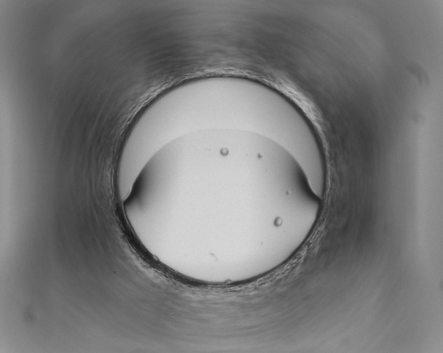 X0000111670009200908141438