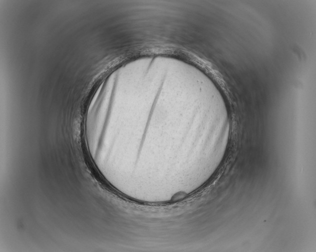 X0000111670010200908141438