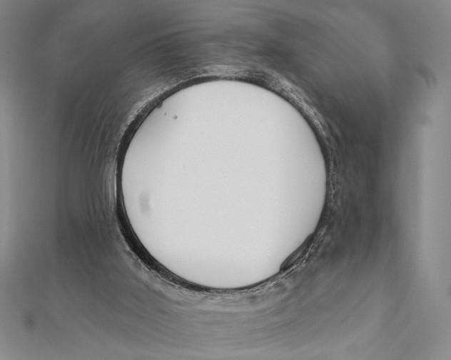 X0000111670011200908141438