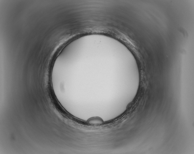 X0000111670012200908141438