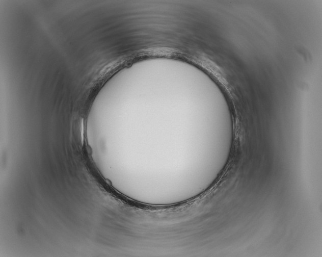 X0000111670013200908141438