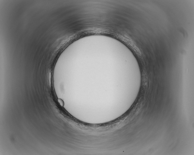 X0000111670014200908141438