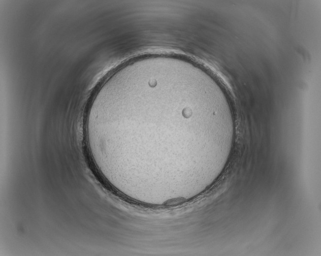 X0000111670015200908141438